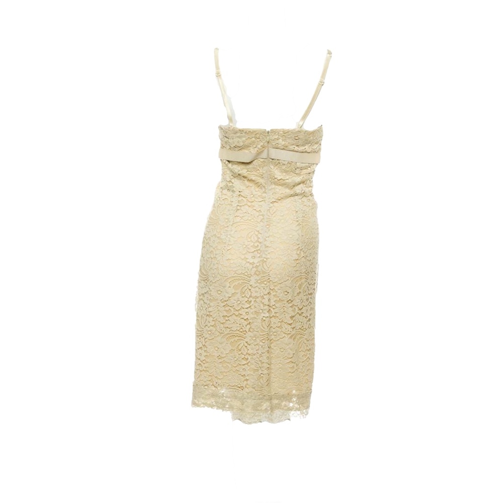 Dolce & Gabbana Taupe Lace Dress - Picture 2 of 3
